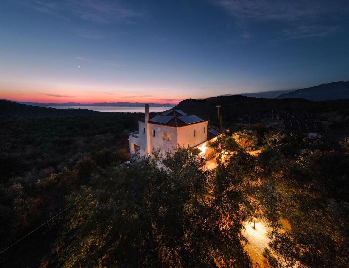 Appartement In Olive Groove House Peloponnesos Western Mani Kalianeika Exterior photo